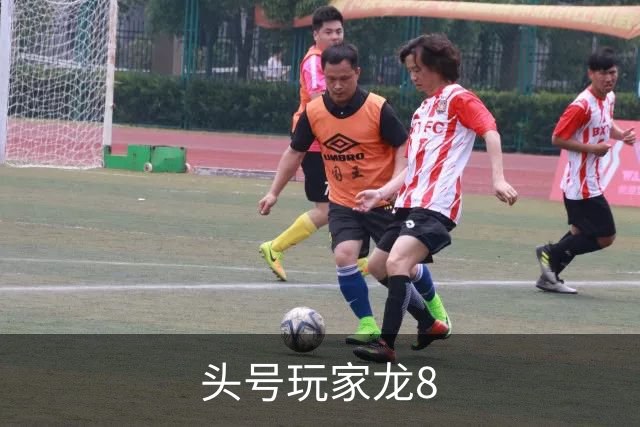 头号玩家龙8公司简介图片